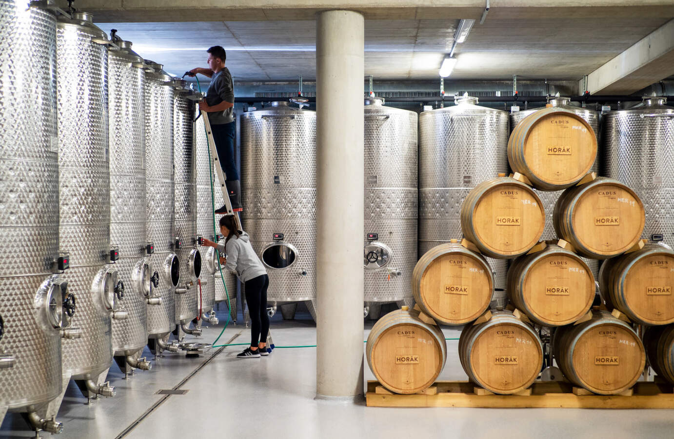 vinarstvi-horak-vrbice